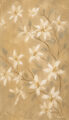 Image Not Available